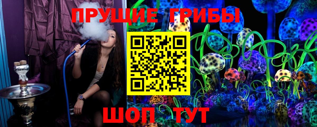 Галлюциногенные грибы GOLDEN TEACHER Осинники