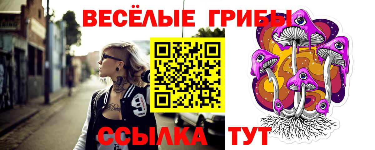 даркнет сайт  Вход с VPN  Псилоцибиновые грибы мухоморы  Осинники  Галлюциногенные грибы мухоморы 